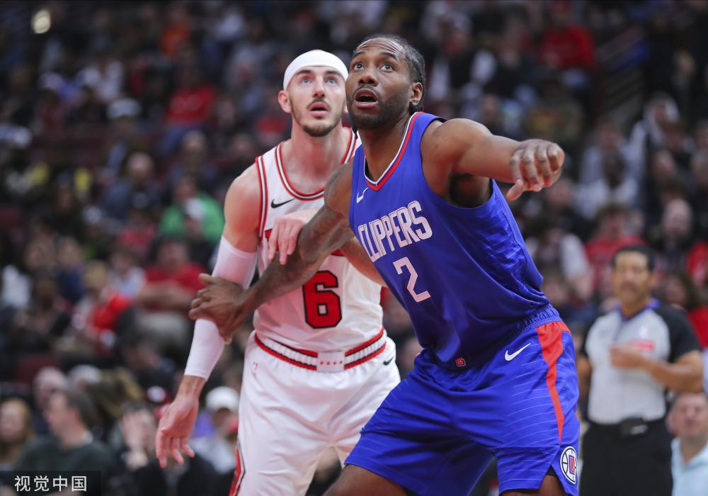 专业人士的 专业人士的